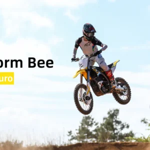 Storm Bee